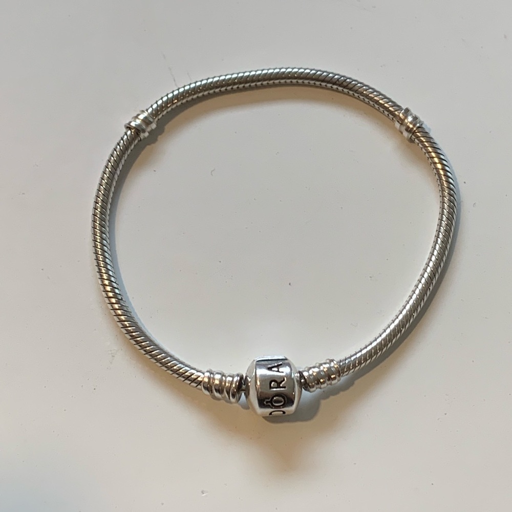 Pandora Charm Snake Bracelet